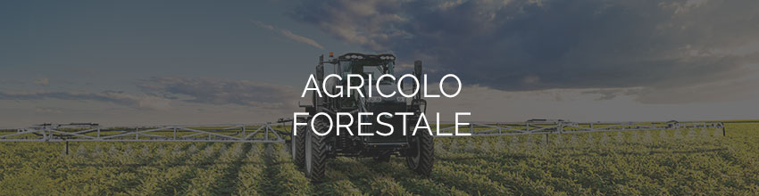 Settore agricolo forestale